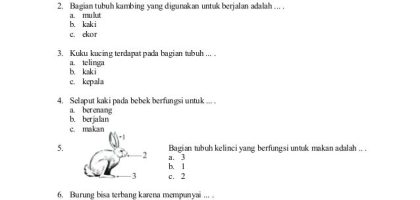 Mengukur Pemahaman Contoh Soal Ulangan Harian IPA Kelas 2 SD Semester 1