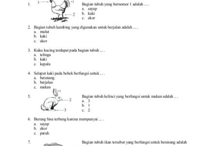 5 Soal IPA Kelas 2 SD Semester 1 tentang Makhluk Hidup yang Wajib Dikuasai di 2026