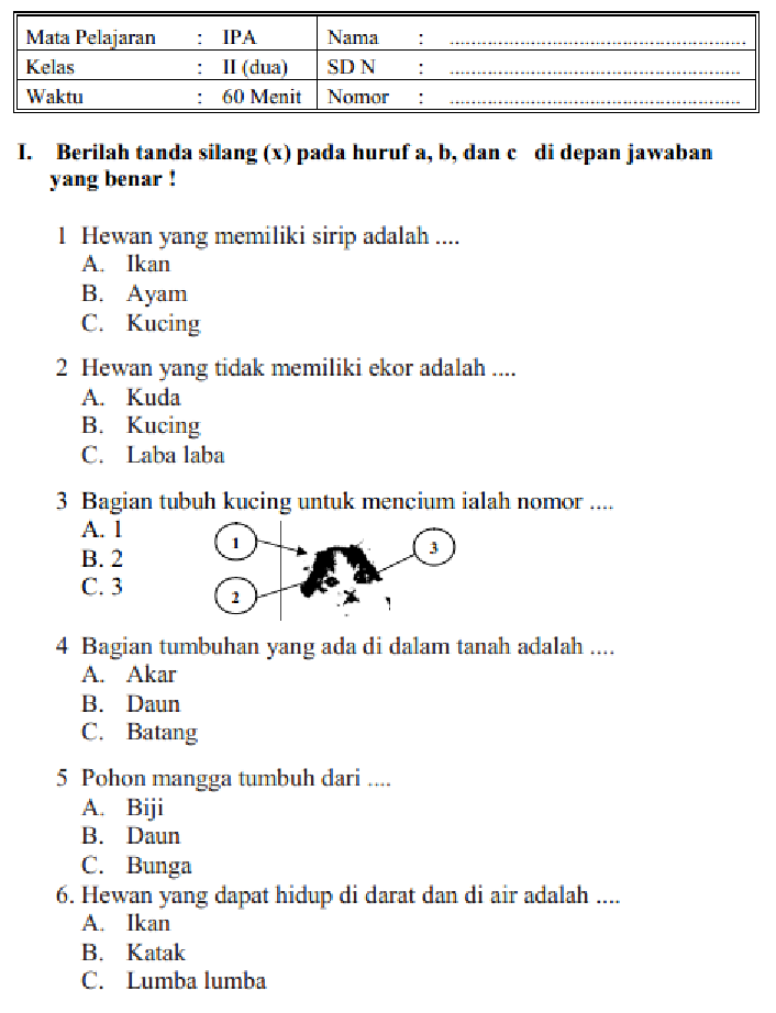 Mengasah Kecerdasan Sejak Dini Contoh Soal Olimpiade IPA Kelas 2 SD Mengasah Kecerdasan Sejak Dini Contoh Soal Olimpiade IPA Kelas 2 SD
