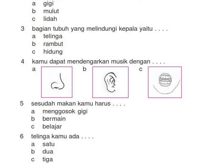 5 Trik Jitu Menaklukkan Soal IPA Kelas 1 di Tahun 2026