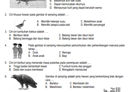 7 Soal PTS IPA Kelas 6 Semester 1 Kurikulum 2013 Paling Sering Muncul di 2026