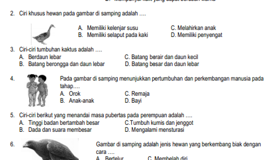 7 Soal PTS IPA Kelas 6 Semester 1 Kurikulum 2013 Paling Sering Muncul di 2026