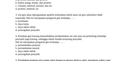 Soal Pjok Kelas 8 Pilihan Ganda PDF