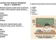 29 Soal Bahasa Indonesia Kelas 11 Semester 1 Kurikulum Merdeka Kunci