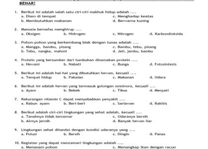 Ternyata Ini Dia Contoh Soal Mid IPA Kelas 3 Semester 1 yang Sering Muncul di Ujian Sekolah